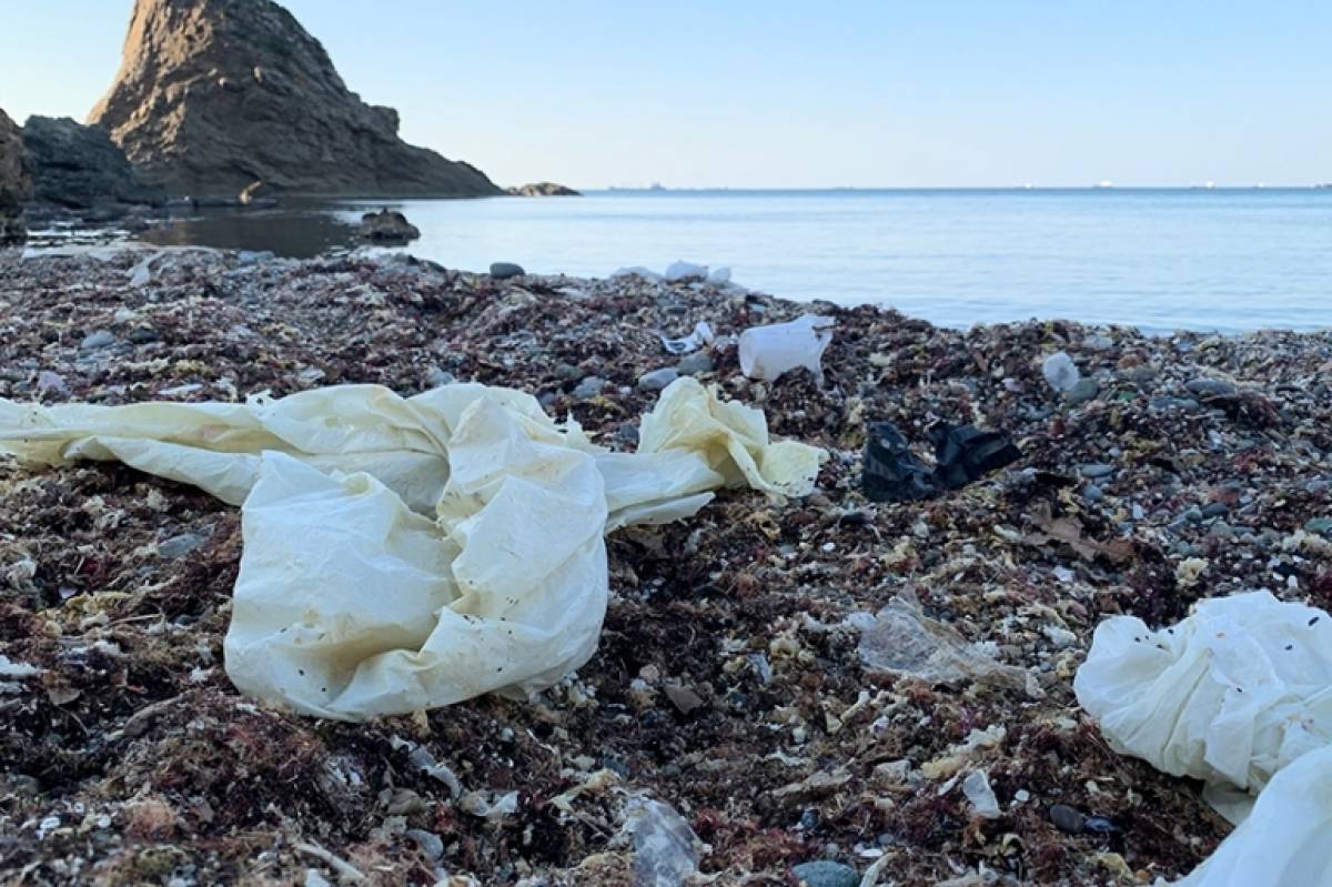 Η Τουρκία έχει μετατραπεί σε… χωματερή της Γερμανίας