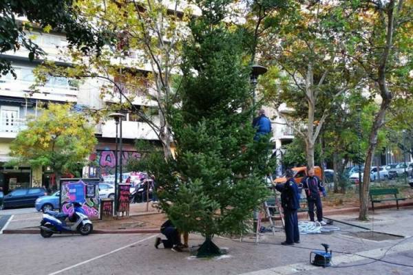 Νέο χριστουγεννιάτικο δέντρο στην πλατεία Εξαρχείων