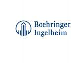 Το Ελληνογερμανικό Επιμελητήριο στην Boehringer Ingelheim