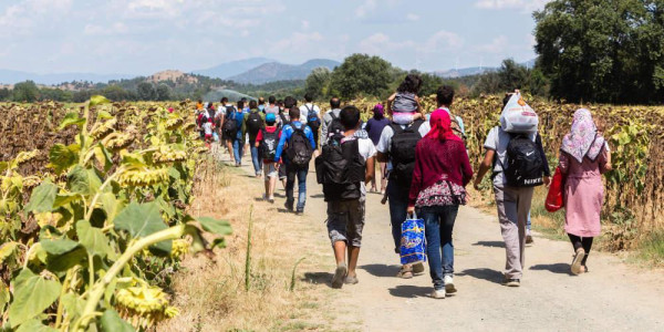 Δεκτές τέσσερις στις πέντε αιτήσεις ασύλου στη χώρα