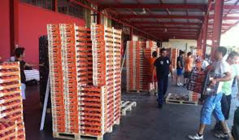 Ζημία 32 εκατ. ευρώ από το ρωσικό εμπάργκο σε ροδάκινα και νεκταρίνια