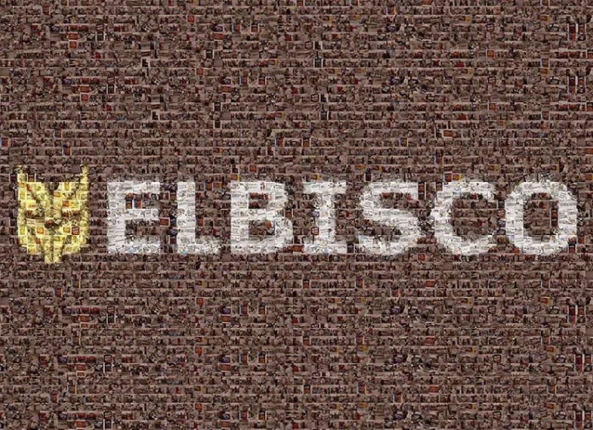 Ο Νικόλαος Βουδούρης νέος CEO της Elbisco