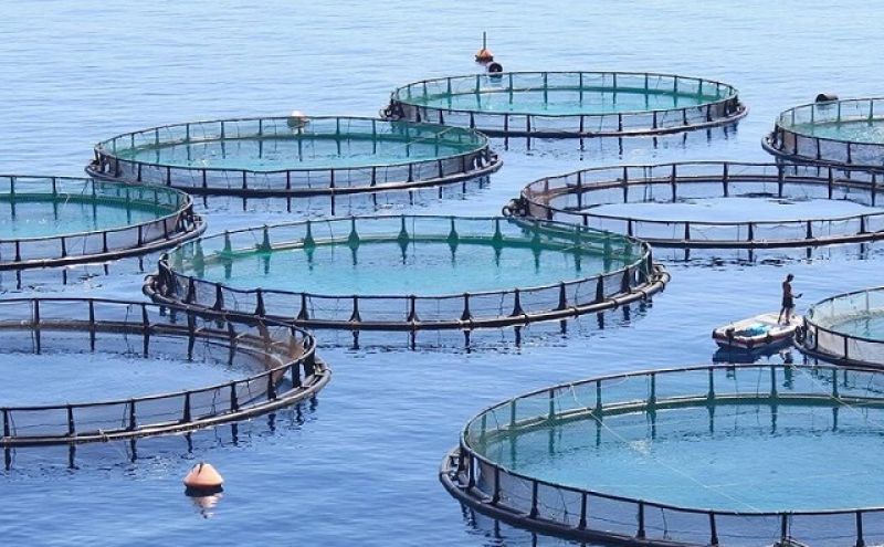 Ανδρομέδα: Καταβολή μερίσματος 0,75 ευρώ ανά μετοχή