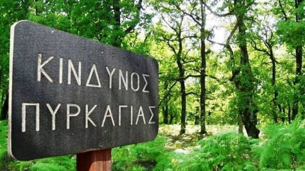 PwC: 81 εκ. στρέμματα στην Ελλάδα εκτεθειμένα στον κίνδυνο πυρκαγιών