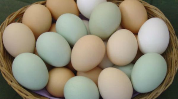 Συμβουλές του ΕΦΕΤ για κρέατα, αυγά, βαφές