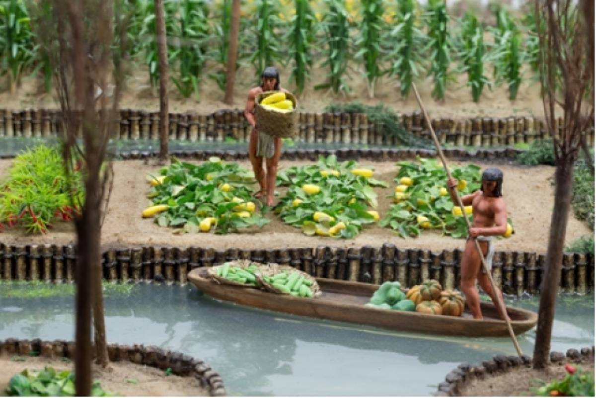 Τα πλωτά νησιά chinampas βοήθησαν τους Αζτέκους να γίνουν αυτοκρατορία