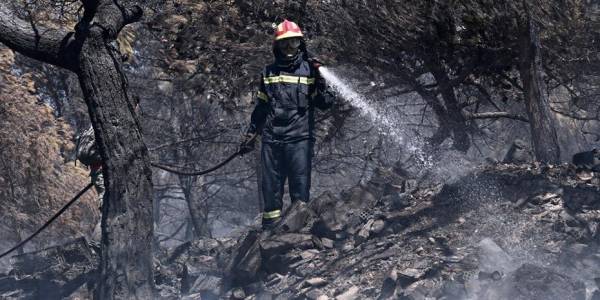 Χαλκιδική: 7.000 στρέμματα έγιναν στάχτη στη Σάρτη