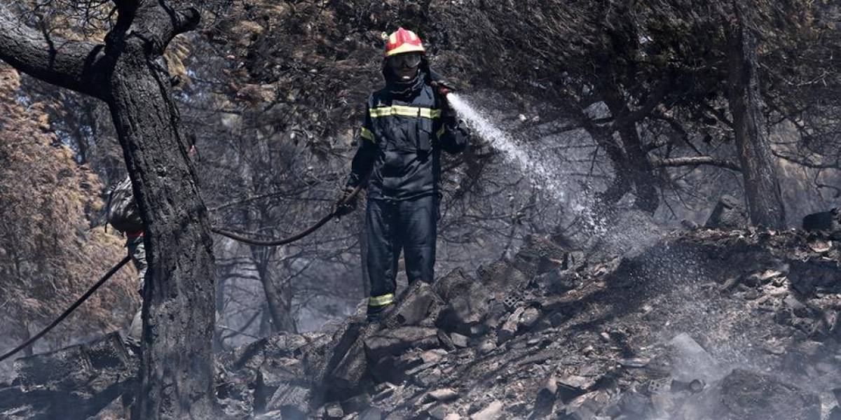 Χαλκιδική: 7.000 στρέμματα έγιναν στάχτη στη Σάρτη