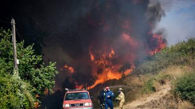 Πυροσβεστική: 39 δασικές πυρκαγιές το τελευταίο 24ωρο στην Ελλάδα