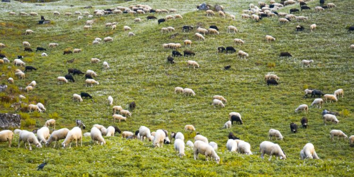 Άμεσα μέτρα κατά της πανώλης αιγοπροβάτων από το ΥΠΑΑΤ