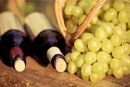 ΓΓΔΕ: Ποσότητες με λαθραίο κρασί στη δαγκάνα των ελεγκτών