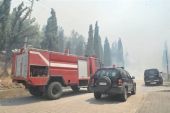 Σε εξέλιξη πυρκαγιά στους πρόποδες της Πάρνηθας