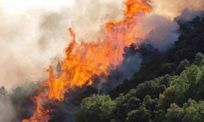 Πυρκαγιά σε δασική έκταση της Χίου