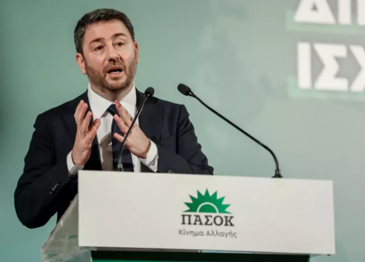 Ανδρουλάκης: Η χώρα χρειάζεται ισχυρή και σοβαρή αντιπολίτευση
