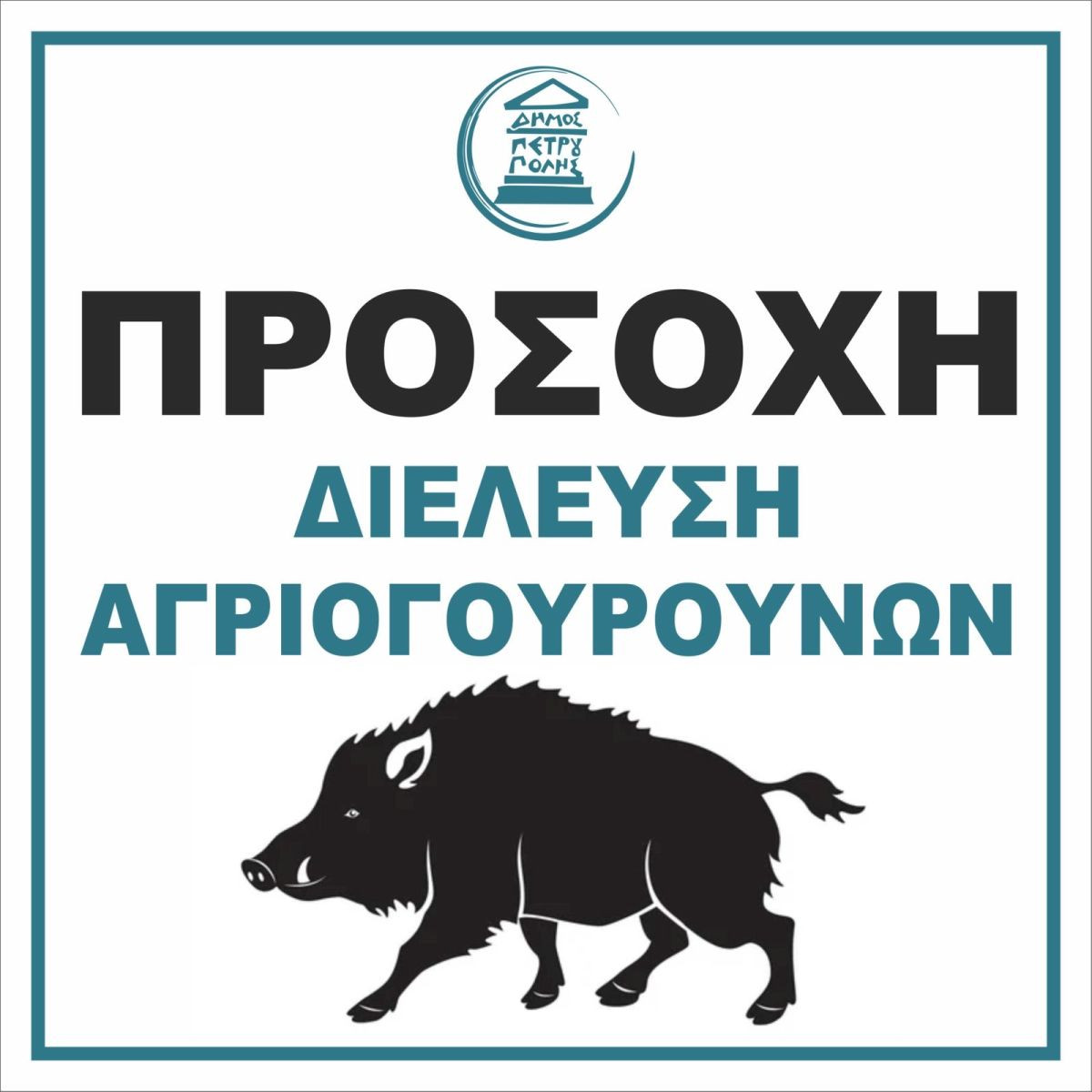 Εντοπίστηκαν αγριογούρουνα σε περιοχές της Αττικής - Τι πρέπει να κάνουν οι κάτοικοι