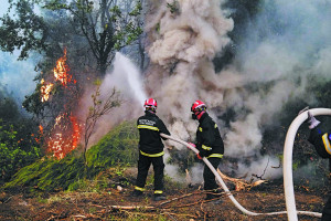 Πυροσβεστική: 66 πυρκαγιές το τελευταίο 24ωρο- Συλλήψεις και επιβολή προστίμου
