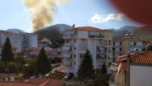 Φωτιά σε δασική έκταση στην Τρίπολη