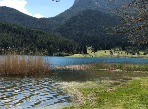 Περιοχές Natura: Στα 2 δισ. ευρώ τα δυνητικά οφέλη