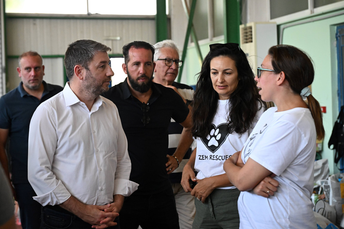 Ο Ανδρουλάκης στον σταθμό φιλοξενίας πυρόπληκτων ζώων στα Μέγαρα