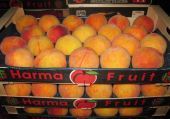 Επένδυση- "χάρμα" 6 εκατ. ευρώ από τη Ηarma Fruit στη FYROM