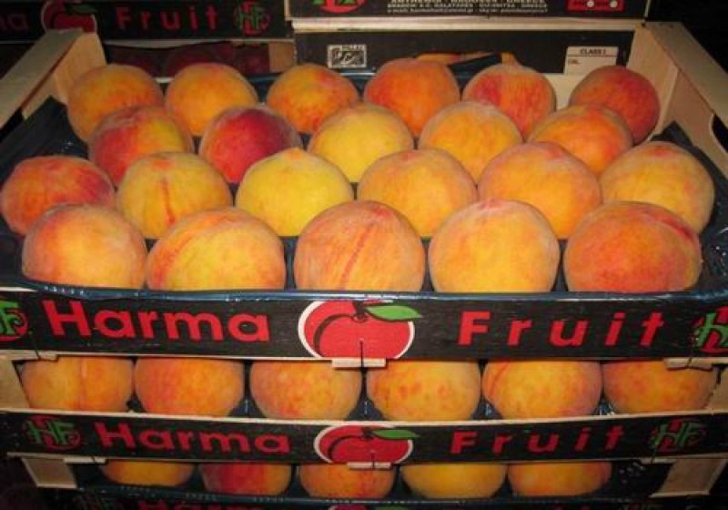 Επένδυση- "χάρμα" 6 εκατ. ευρώ από τη Ηarma Fruit στη FYROM