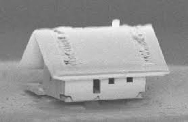 Νανορομπότ κατασκεύασε το μικρότερο σπίτι στον κόσμο