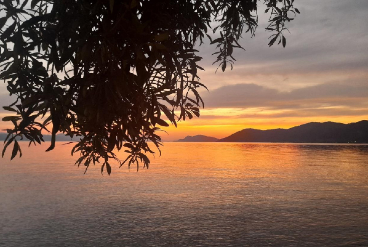 1ο Rovies Food Fest: Όταν οι γεύσεις αφηγούνται ιστορίες