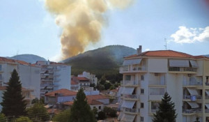 Υπό έλεγχο η φωτιά στην Τρίπολη- Προσαγωγή υπόπτου για εμπρησμό