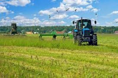 ΕΛΣΤΑΤ:Το 2019 η καλλιεργούμενη γεωργική γη ανήλθε σε 32.165,4 χιλ.στρέμματα