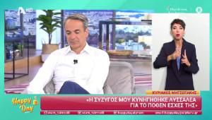 Μητσοτάκης: Εθνική προτεραιότητα για την πατρίδα η αντιμετώπιση της ακρίβειας