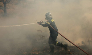 Φωτιά στη Θάσο: Σύλληψη 65χρονου για εμπρησμό