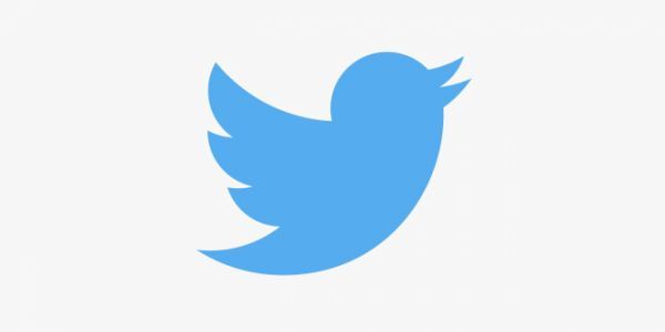 «Βουτιά» 13% για τη μετοχή του Twitter