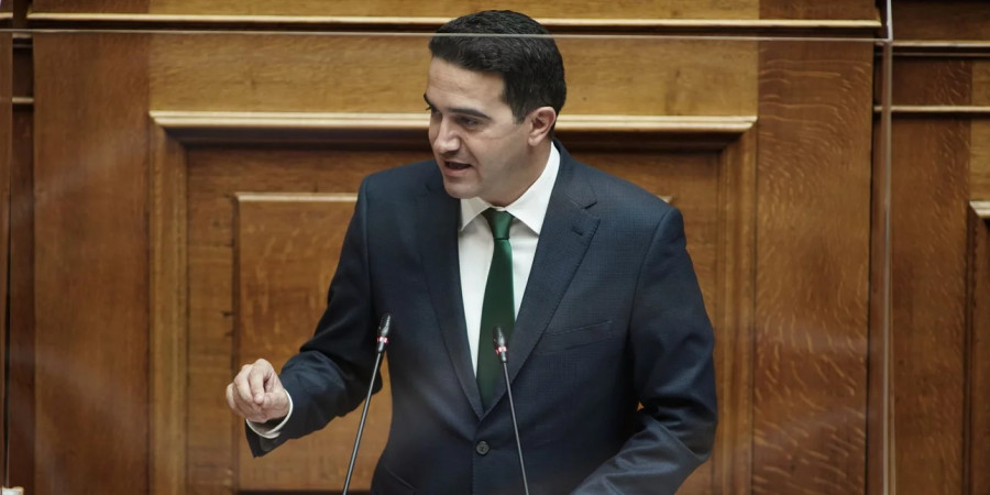 Κατρίνης: Ερωτήματα σχετικά με την αναζήτηση ιδιώτη επενδυτή για τα ΕΑΣ