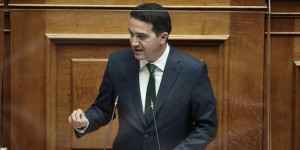 Κατρίνης: Ερωτήματα σχετικά με την αναζήτηση ιδιώτη επενδυτή για τα ΕΑΣ
