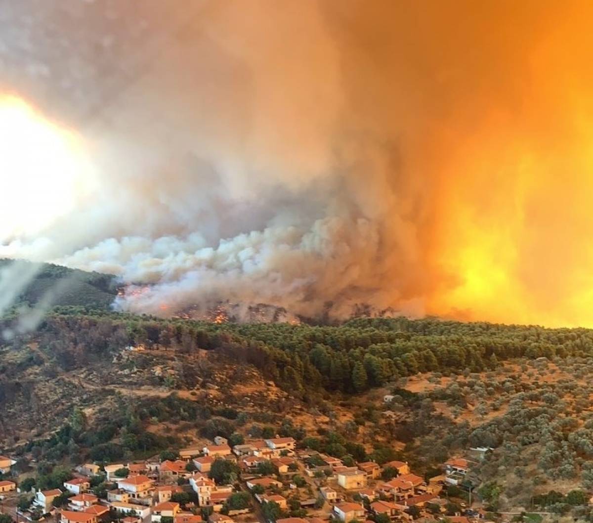 Εύβοια: Στη μάχη καναντέρ και ελικόπτερα - Ανυπολόγιστη οικολογική καταστροφή