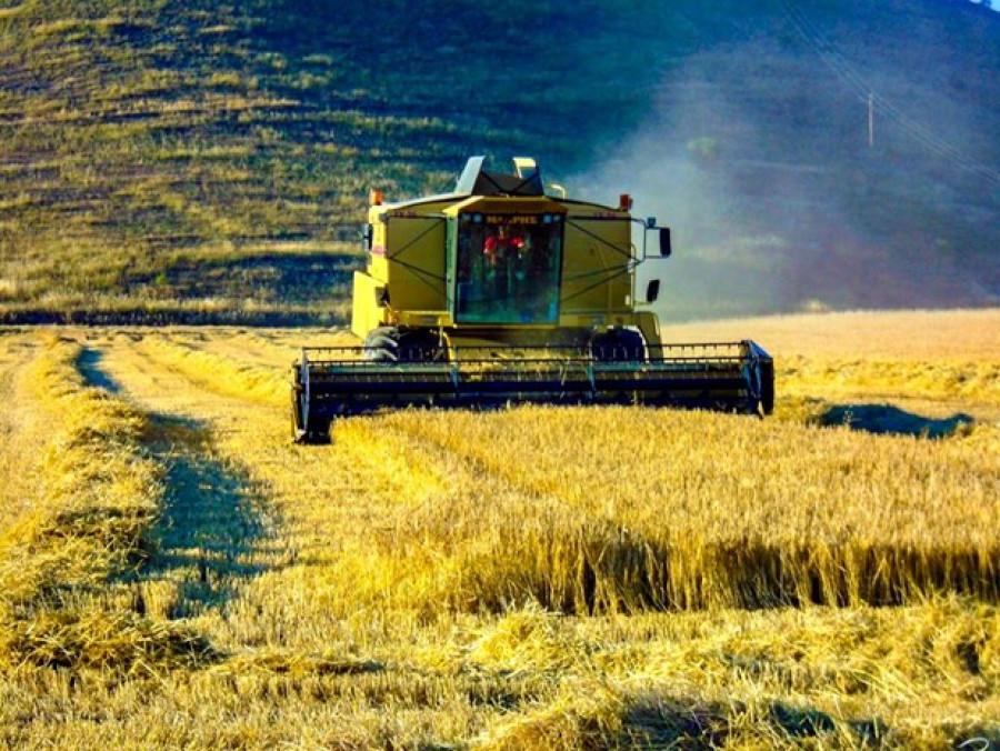 Γιατί η καταστροφή στη Θεσσαλία θα μας ακολουθεί για χρόνια