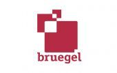 Bruegel: Η κρίση ταυτότητας της ΕΕ που επέφεραν οι πολιτικές λιτότητας