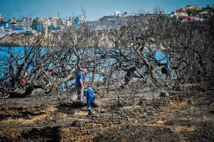 Η εισαγγελική πρόταση για την τραγωδία στο Μάτι