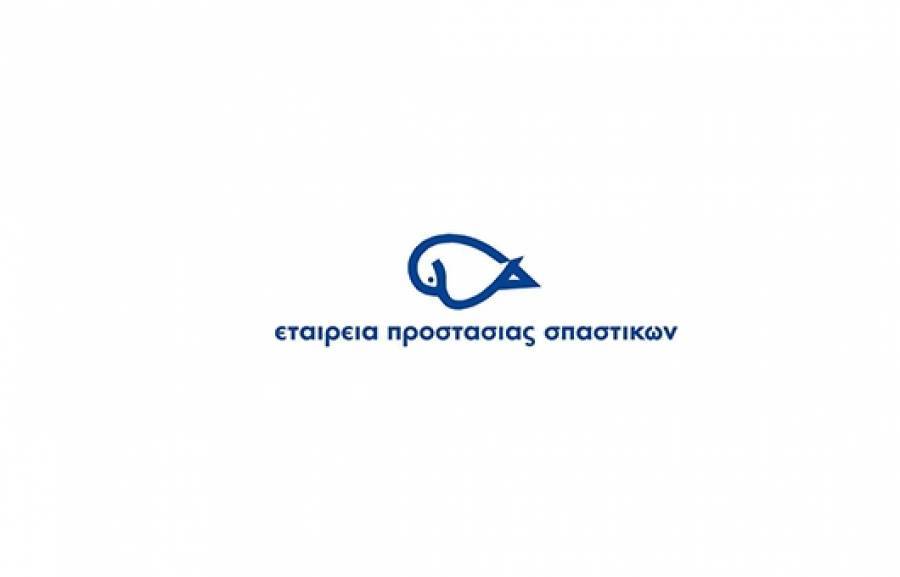 «Open Door Run» από την Εταιρεία Προστασίας Σπαστικών- Πόρτα Ανοιχτή