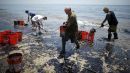 Καλιφόρνια: Συναγερμός με τις πετρελαιοκηλίδες- Τεραστια οικολογική καταστροφή