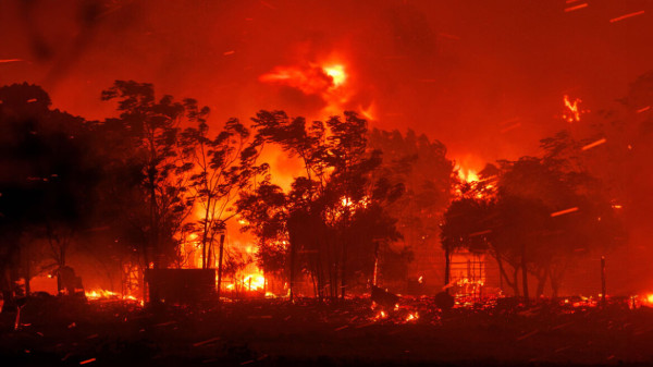 Φωτιά στον Έβρο: Τα 13 μέτρα στήριξης για τους πυρόπληκτους