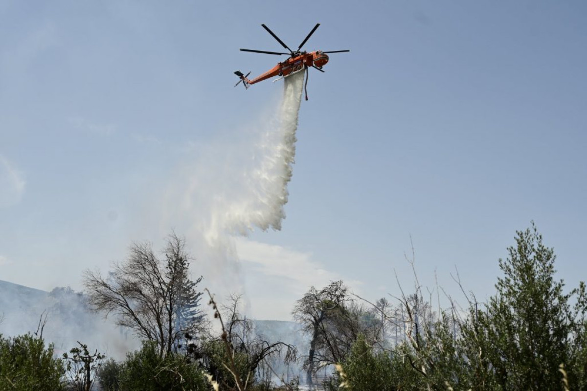 Λασίθι: Μεγάλη επιχείρηση της πυροσβεστικής για φωτιά στην Κάτω Κρυά