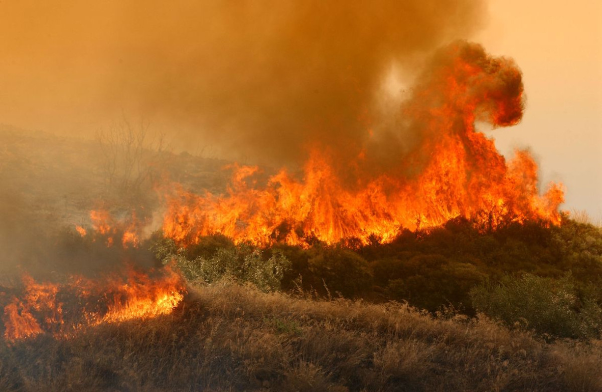 Τρεις νέες συλλήψεις για πυρκαγιές από αμέλεια και τσουχτερά πρόστιμα