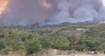 Φωτιά στην Εύβοια: Δραματική η κατάσταση-Δύο μέτωπα-Κάηκαν εκατοντάδες σπίτια