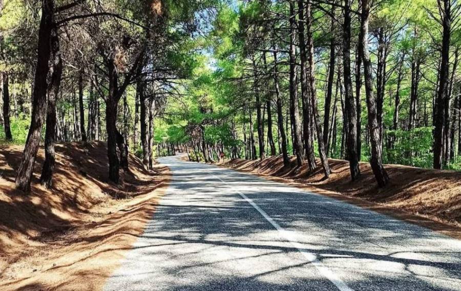 Παράταση απαγόρευσης μετακινήσεων σε δάση,εθνικούς δρυμούς,περιοχές Natura και άλση