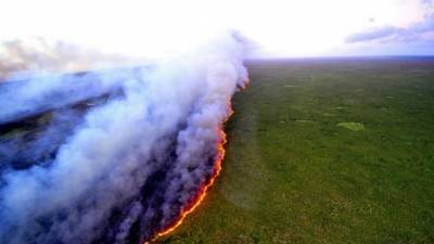 Απάντηση Κομισιόν σε ευρωβουλευτές ΣΥΡΙΖΑ για τις πυρκαγιές στον Αμαζόνιο