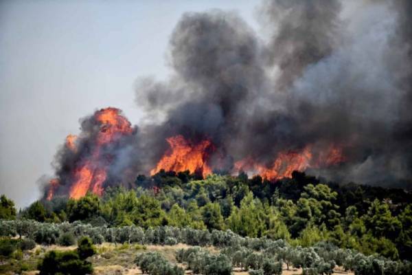 Σε εξέλιξη τα πύρινα μέτωπα σε Ηλεία και Κορινθία