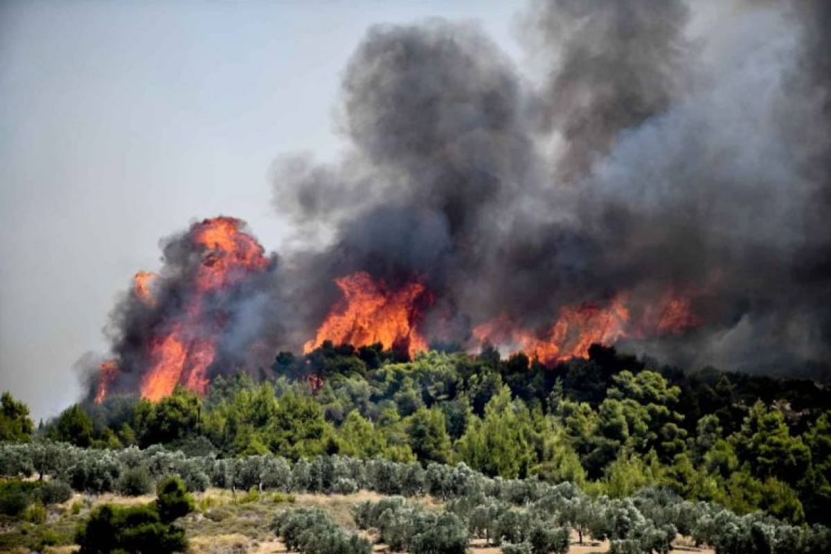 Σε εξέλιξη τα πύρινα μέτωπα σε Ηλεία και Κορινθία