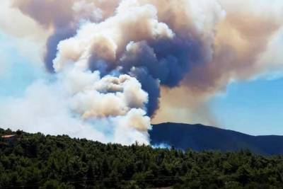 Μάχη με τις φλόγες στα Βίλια: Τεράστια οικολογική καταστροφή