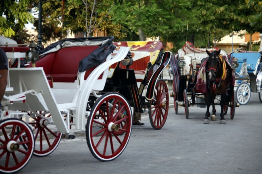 Κέρκυρα: Εισαγγελική παρέμβαση για το θάνατο αλόγου-Πρόστιμο 30.000 ευρώ